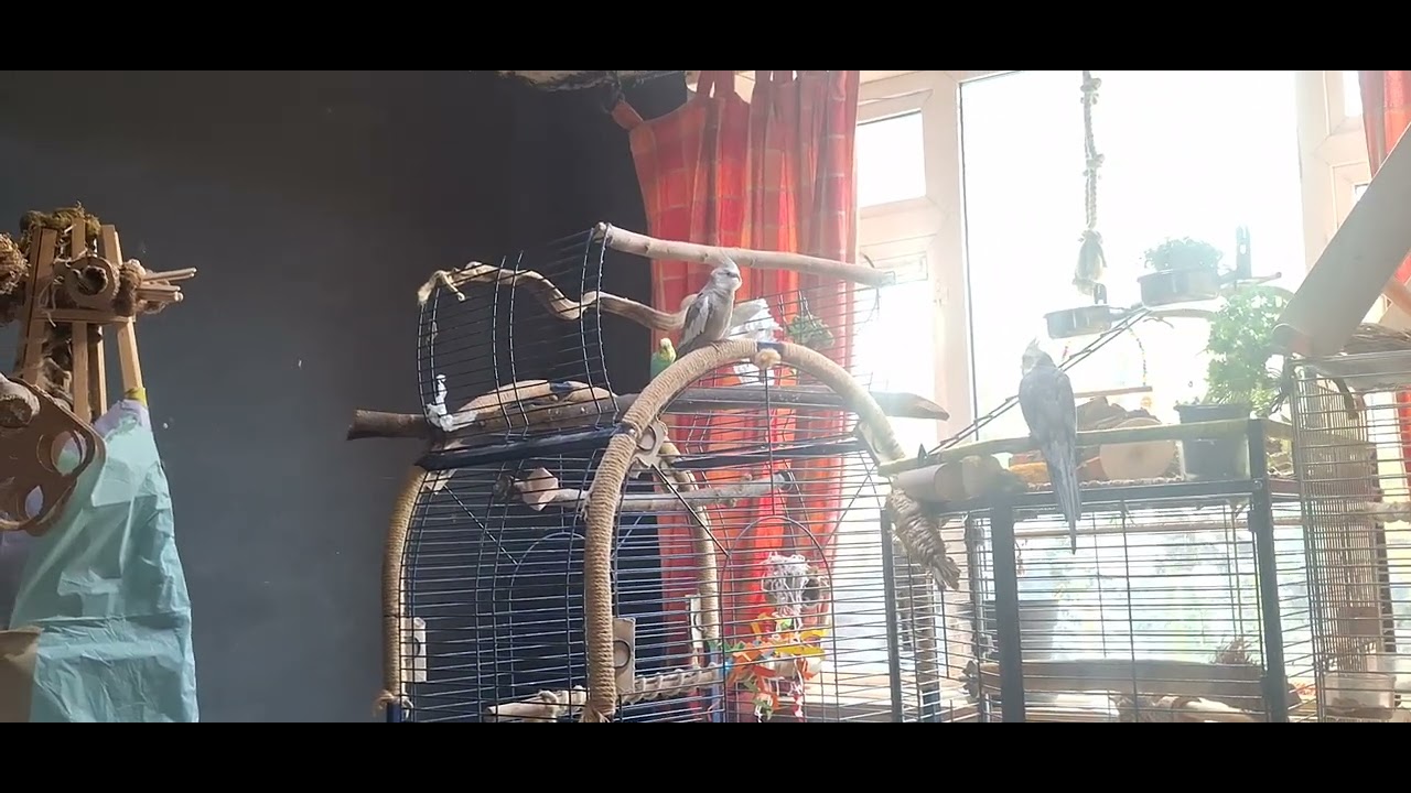 I picked the camera up 'cause they were being quiet 🤣