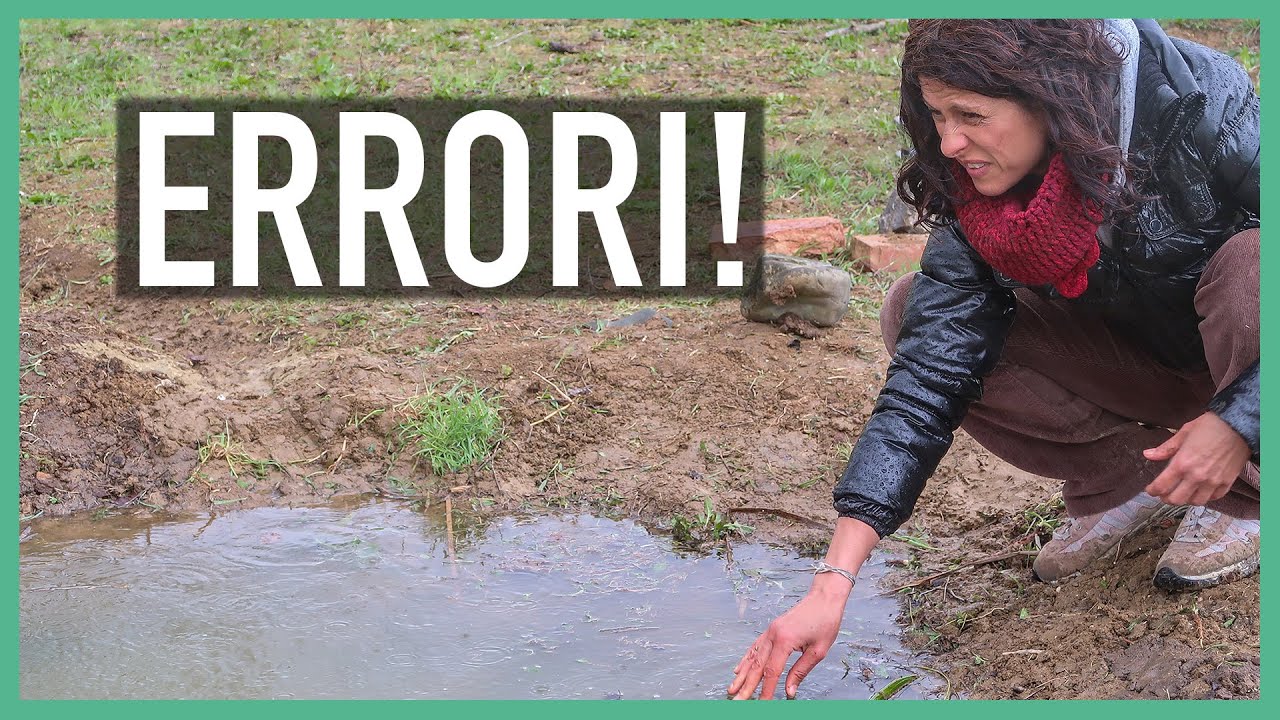 FARE UNO STAGNO. GLI ERRORI DA EVITARE | Feat. AQUAPONIC DESIGN