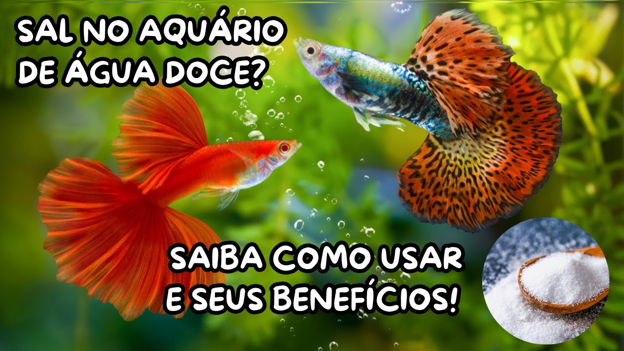 COMO USAR SAL NO AQUÁRIO DE ÁGUA DOCE (MELHOR REMÉDIO NATURAL)