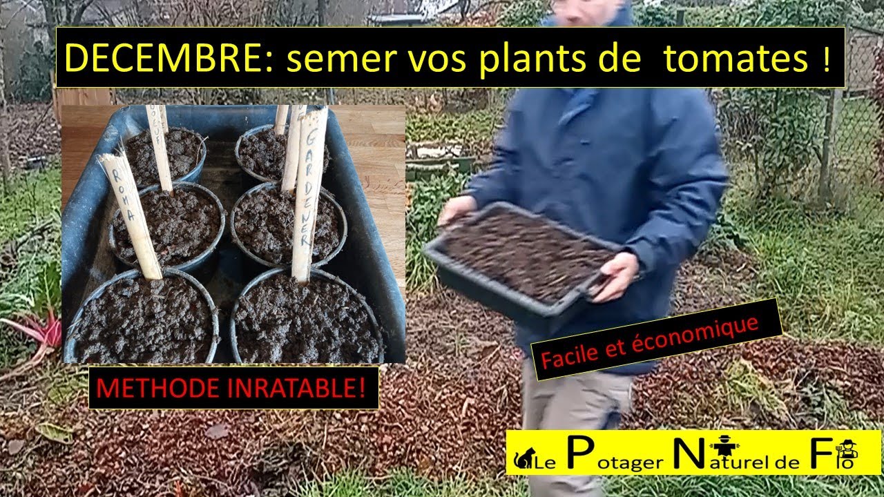 En décembre : Semez vos tomates ! Méthode inratable.