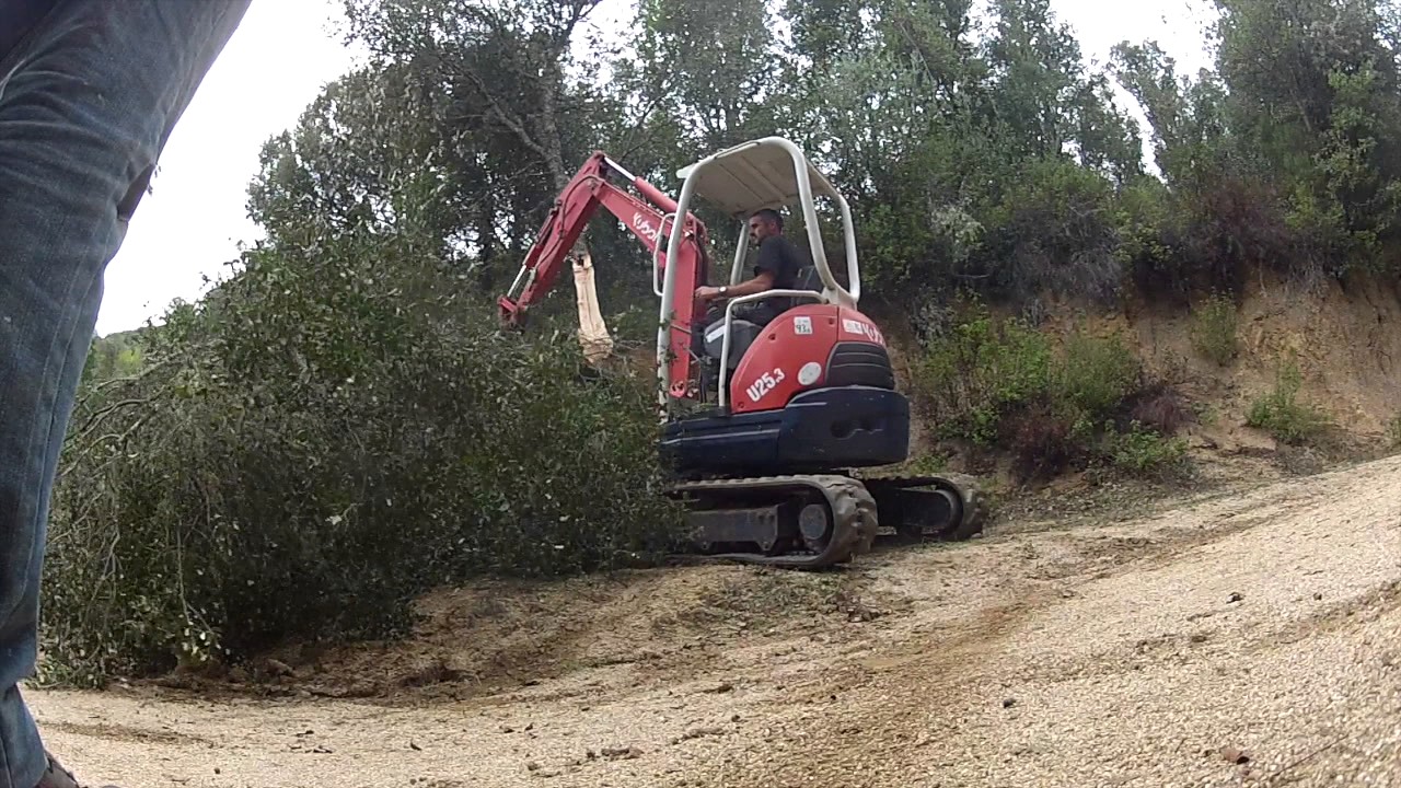 mini pelle Kubota U25