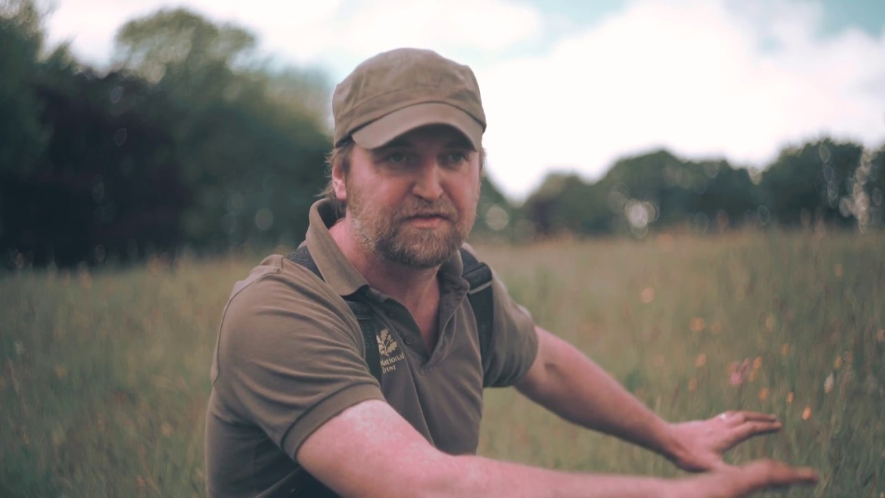 Restoring Ned's Meadow