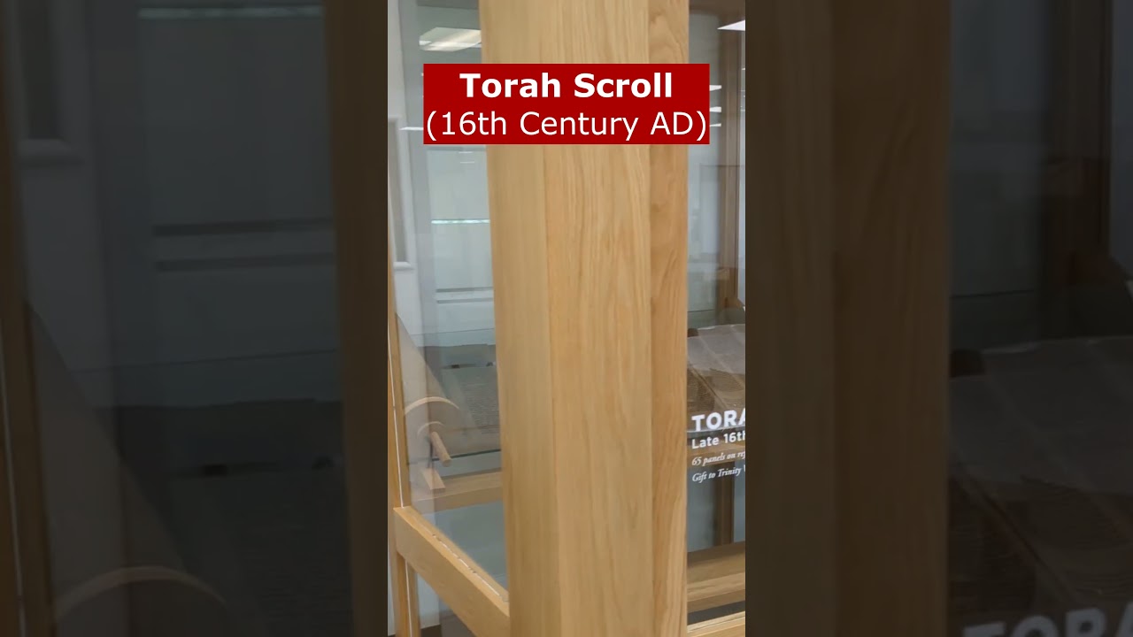 Digging up the Bible - Massive Torah Scroll on display 🤯 