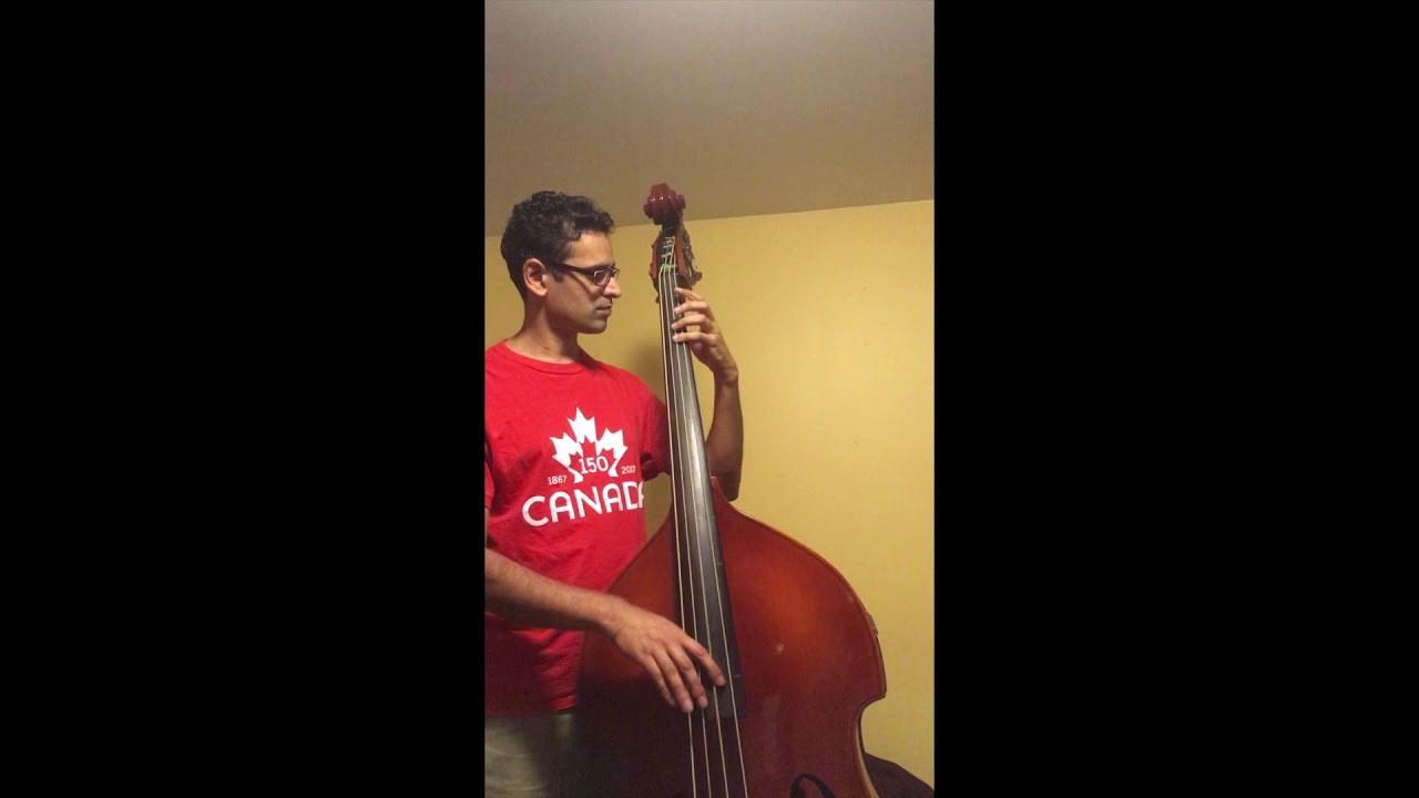 Innovation Golden Slaps double bass strings