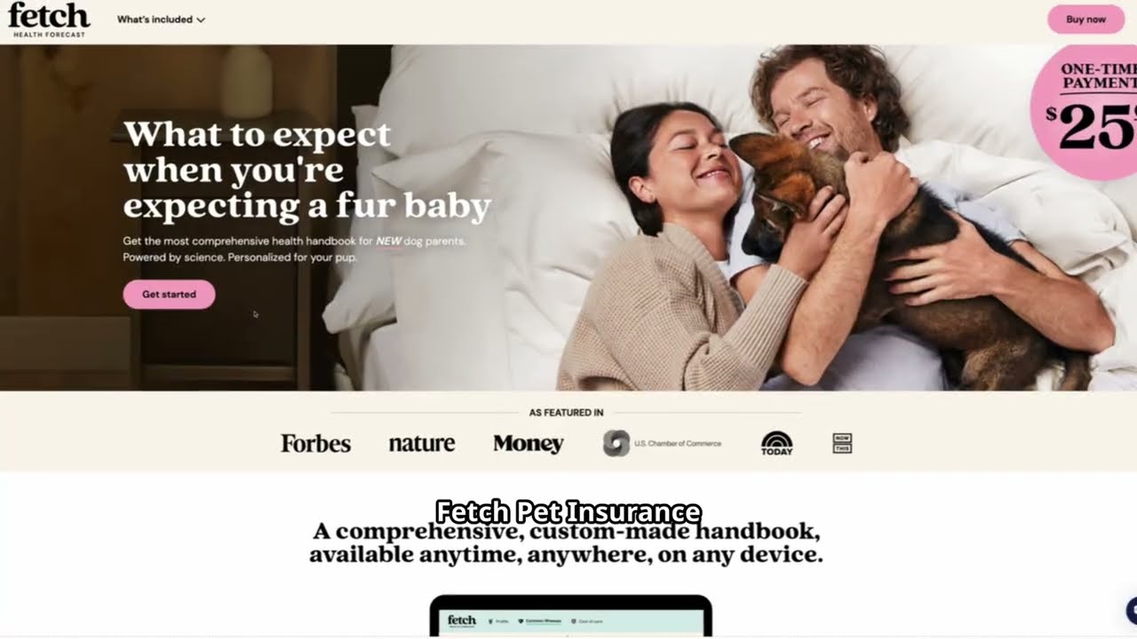 How AI Unleashed Fetch Pet Insurance&rsquo;s Customer Loyalty