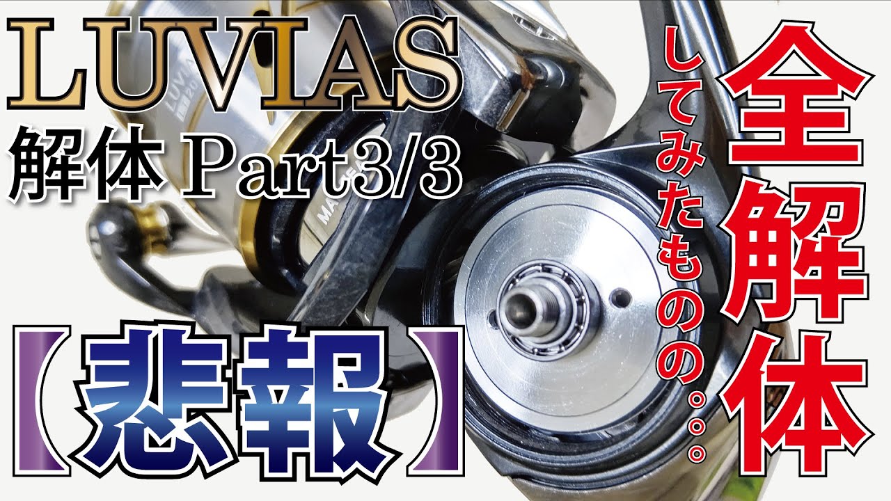 【悲報】'20 ルビアス解体 Part3 (end) 全解体編 ～なぜこうなった？～