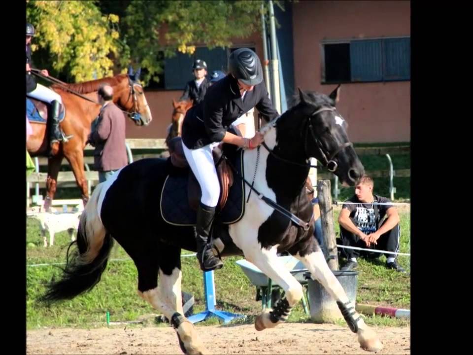 Il parait que l'équitation n'est pas un sport... [C.H.A.]