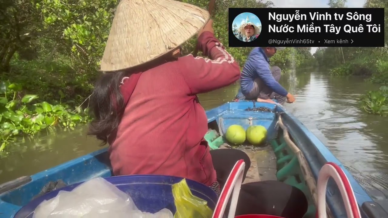 Hôm nay đi săn bắt trong vuông nhà