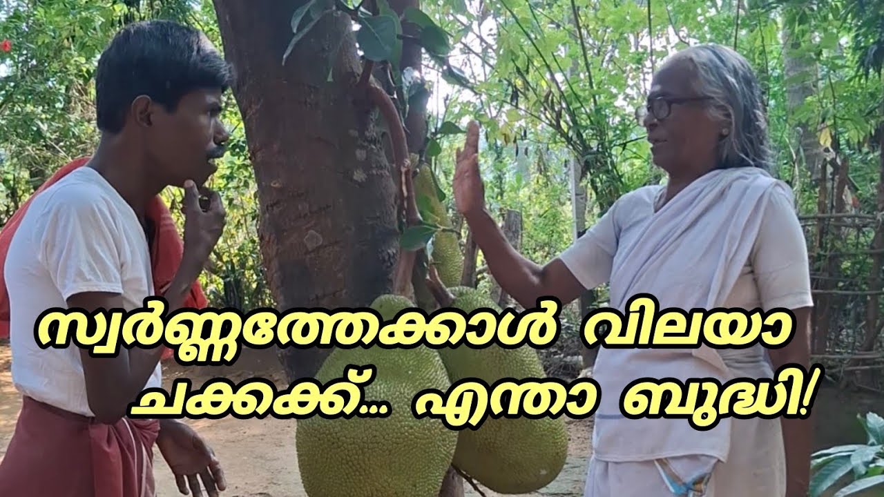 നോക്കിൻ,,,,ഈ ബുദ്ധി അതിബുദ്ധി തന്നെ ട്ടോളിൻ...😍🙏