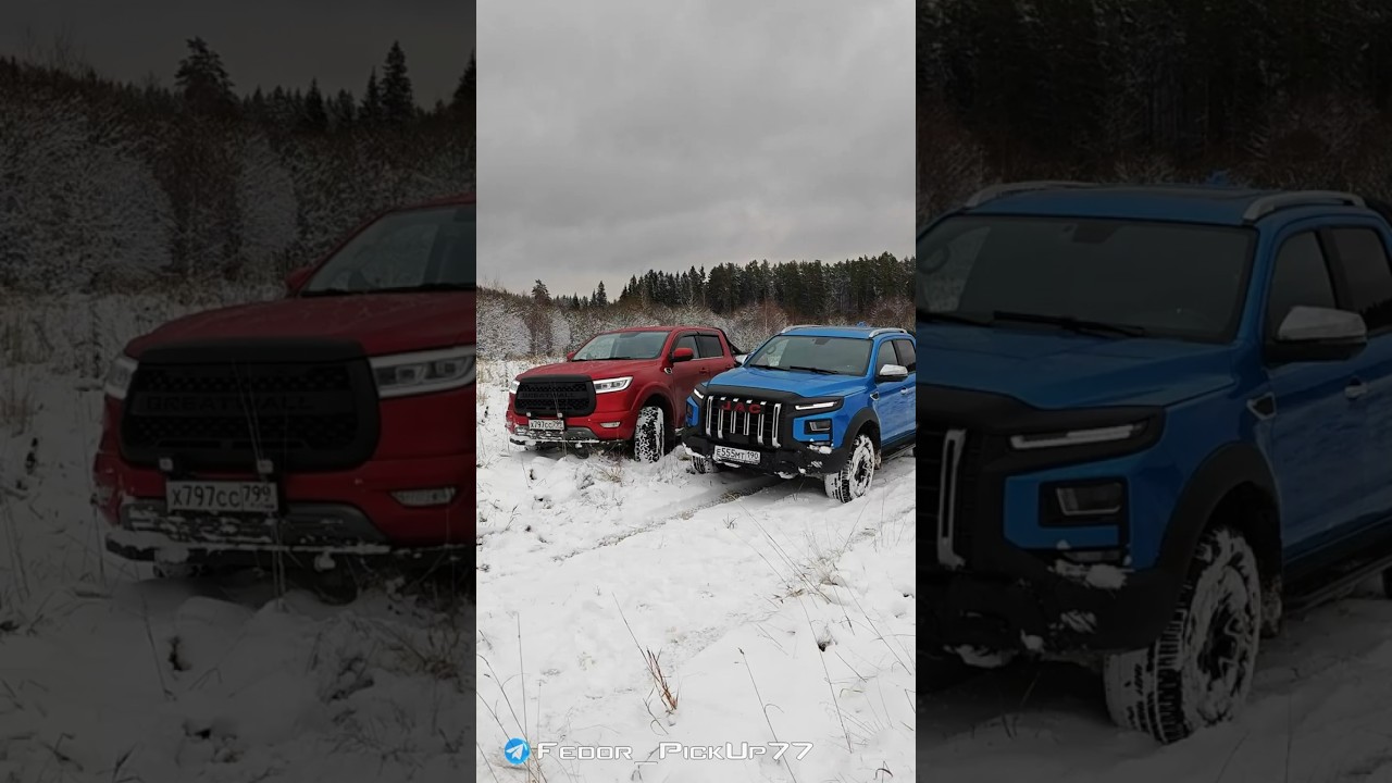 Сравнили JAC T9 и GW Poer. Что выберешь ты?