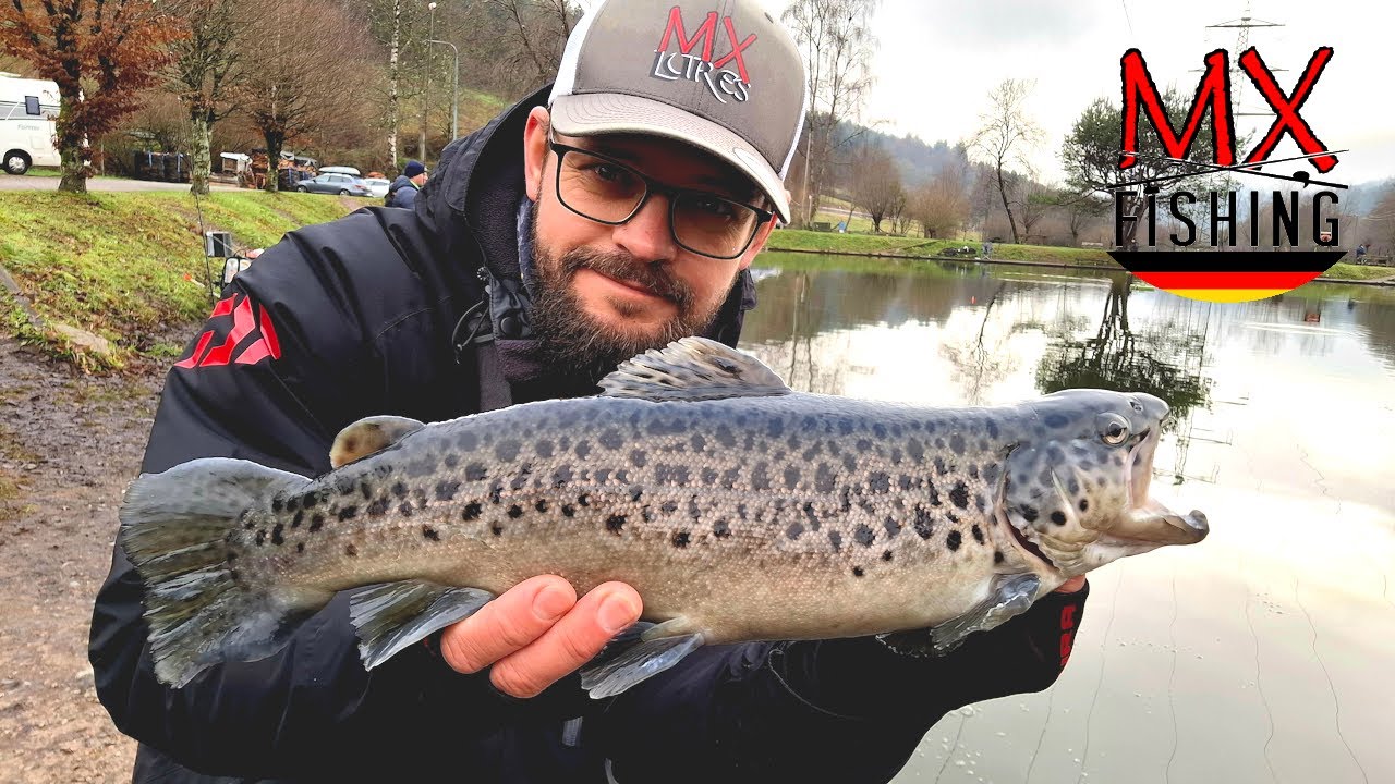 Spoons besser verstehen/ Mehr Info zum Erfolg/ Forellen fischen mit Kunstködern/ Trout Area