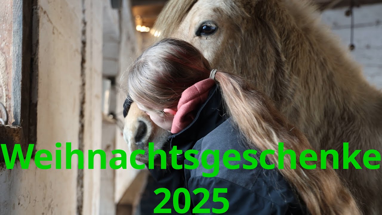 Ein Ei 🥚 und ein Luftballon 🎈: Weihnachtsgeschenke 2025