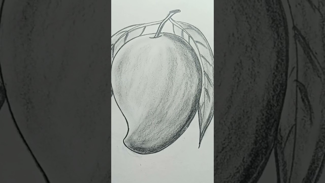 how to draw Mango #shortsviral #art   #pencildrawing #shading