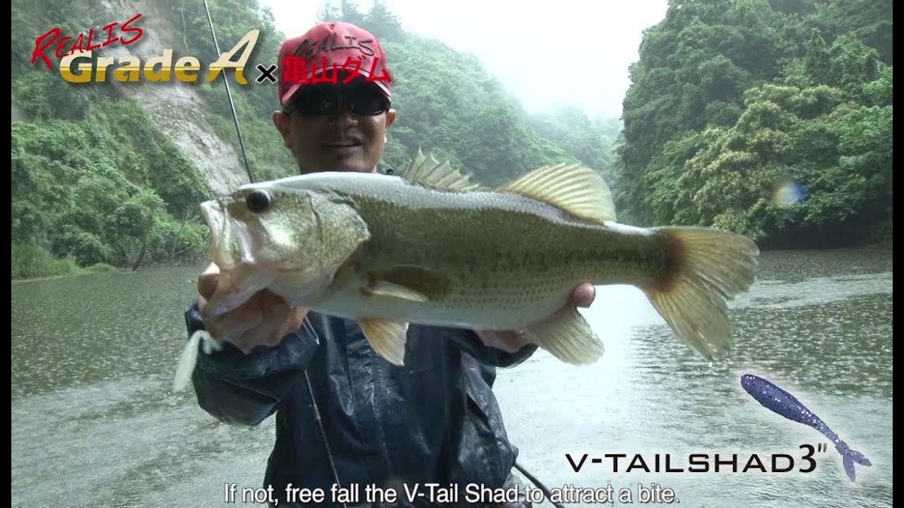 Grade A Soft-Baits: Bass Fishing with V-Tail Shad & Ninmushi part 1