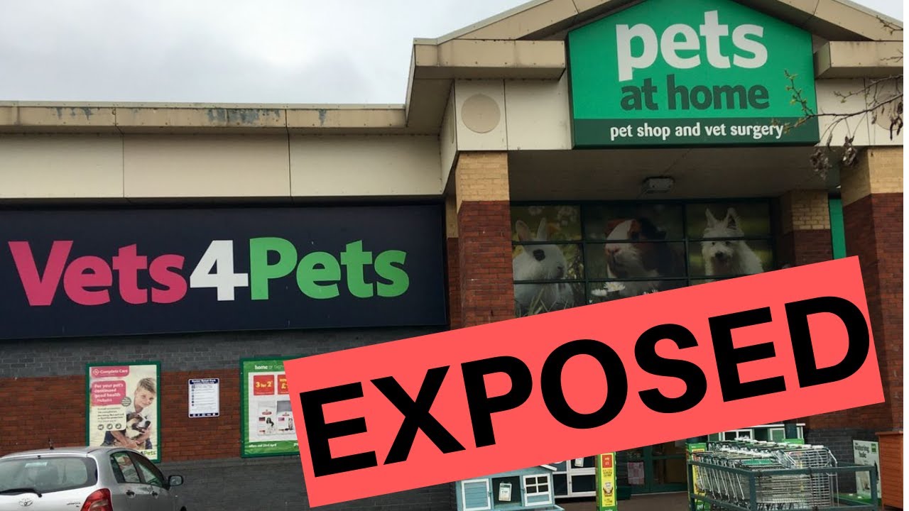 How Vets4Pets Works. Their Business Model EXPOSED #vets4pets #petsathome #dogfood