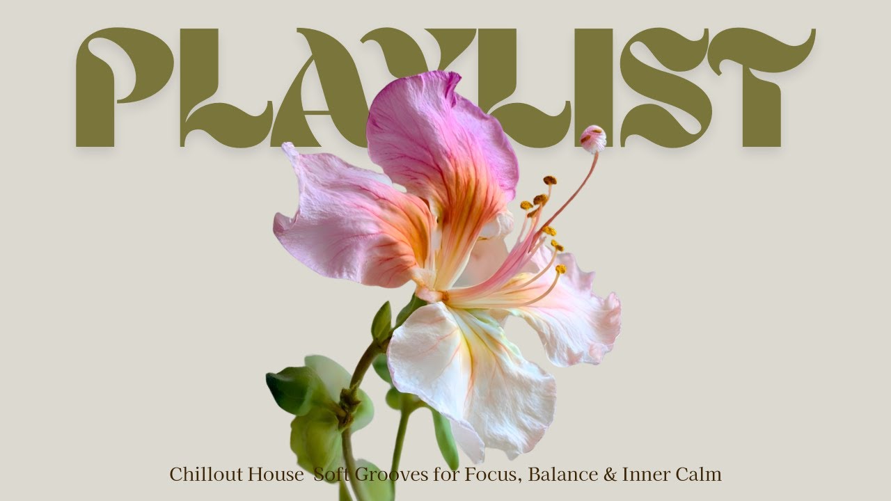 Soft Electronic Mix | Clean Grooves for Focus & Balance