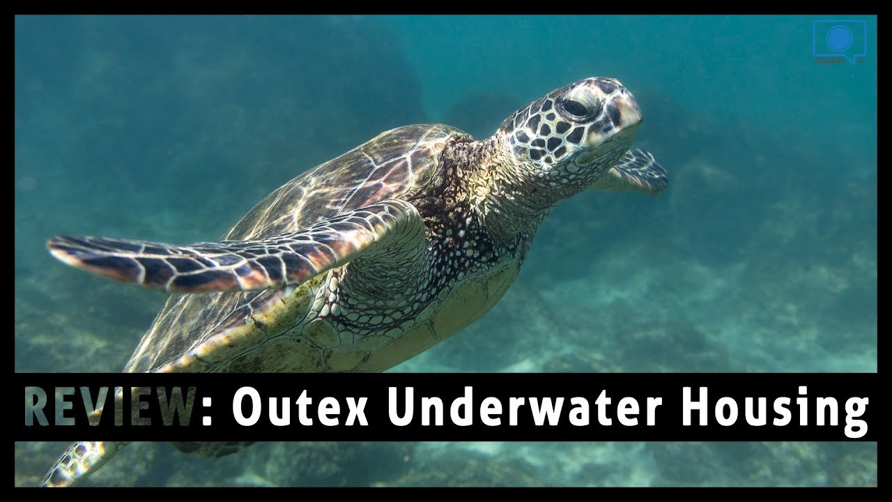 Outex Underwater Camera Housing - Perfect for Travel