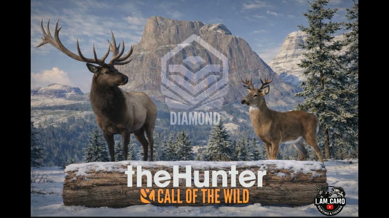 GOLD OR BETTER ARCHERY ELK AND WHITETAIL CHALLENGE ON ASKIY RIDGE EPISODE 3