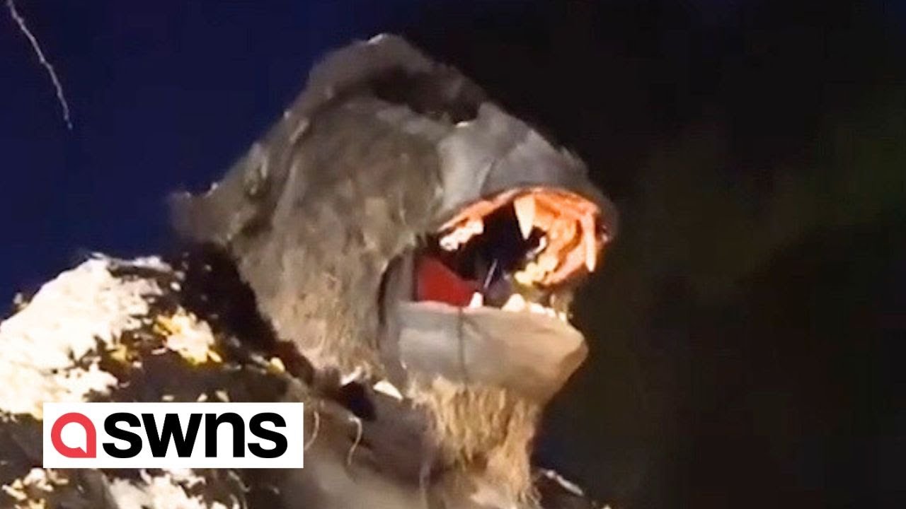 Dad builds giant Halloween installations every year in his front yard | SWNS