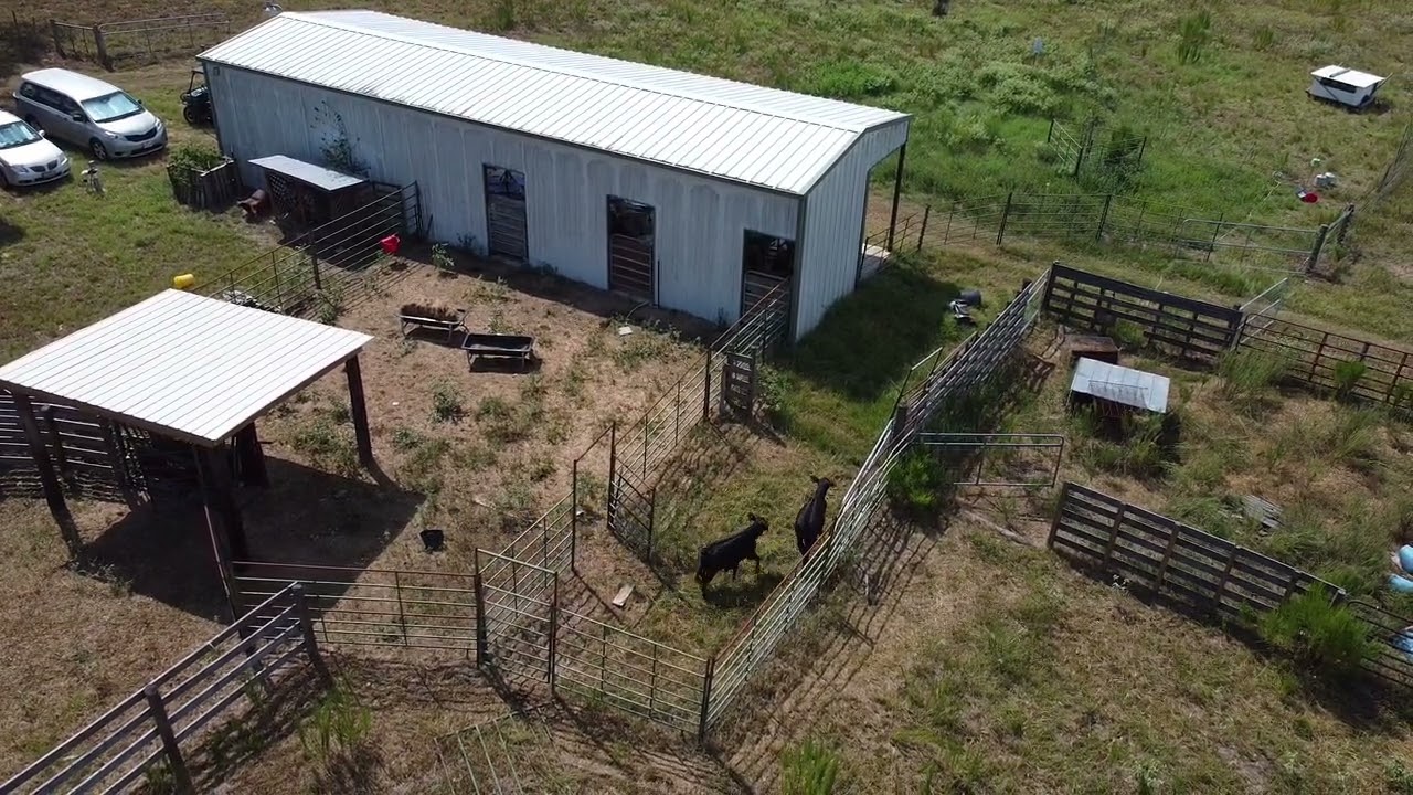 Adding New Calves to the Herd