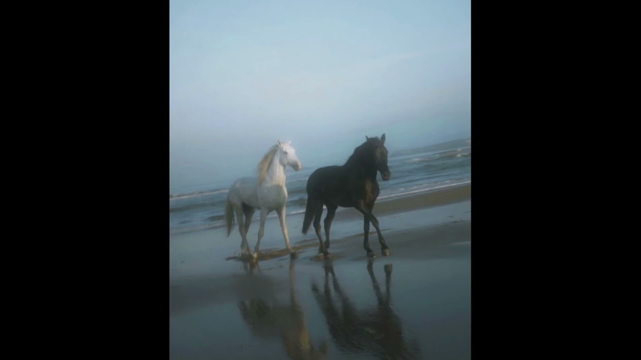 [free] YEAT x A DANGEROUS LYFE type beat 