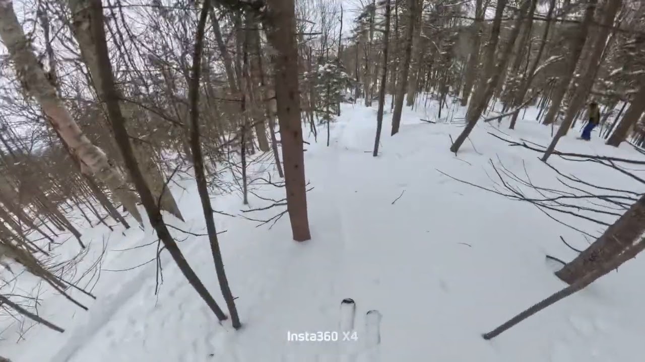 Skiing the Trees of Vermont #skitheeast #skiing