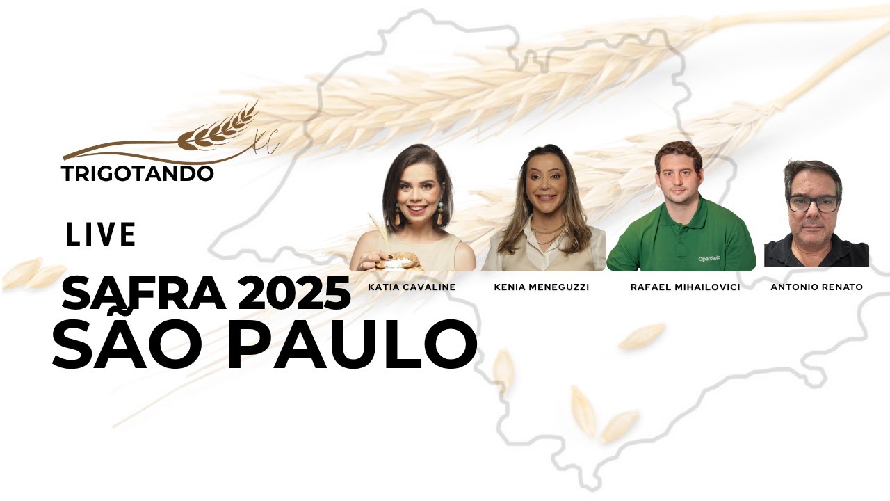 SAFRA 2025 - SÃO PAULO