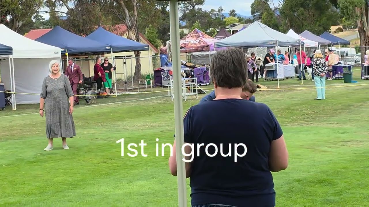 Whippet Puppy wins best in group!