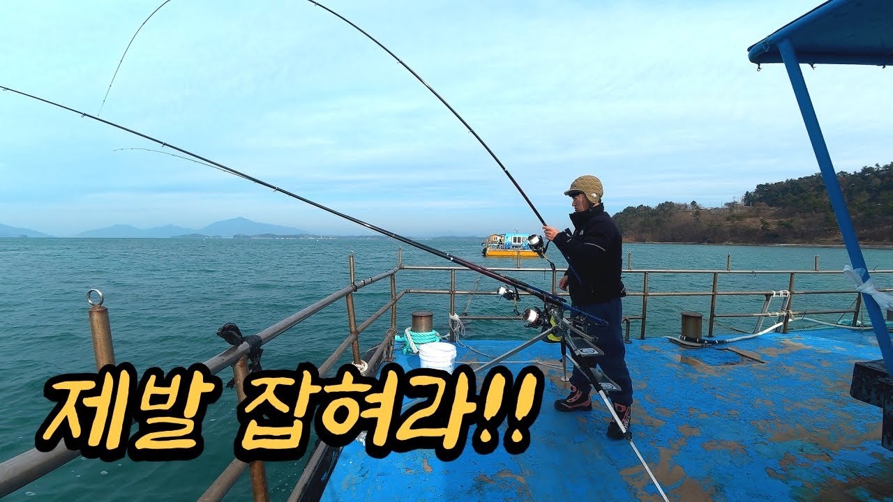 가성비 최고!! 단돈 만 오천원으로 하루 종일 낚시 할 수 있는 역대급 해상 펜션!