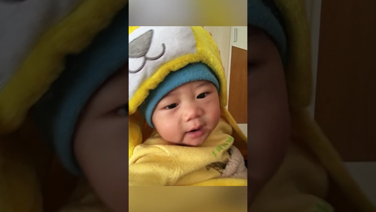 Bubu Quỳ Hợp: Tổng hợp 2017-2018 #garden 