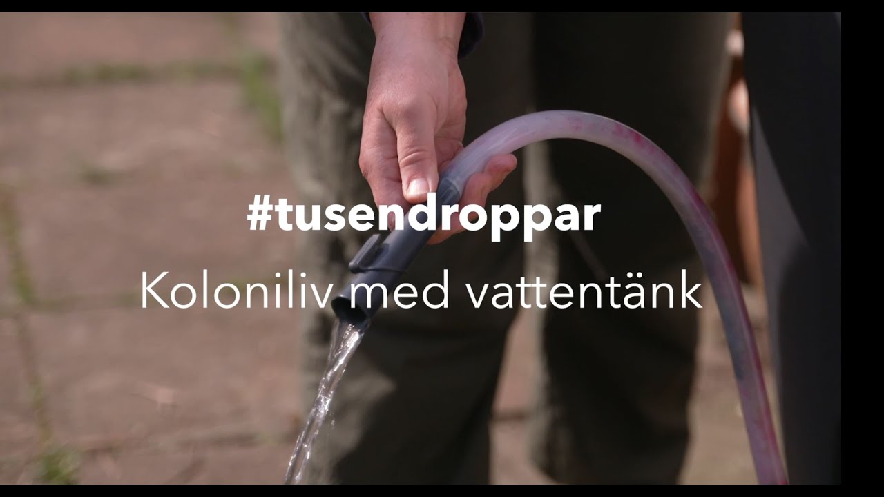 #tusendroppar - Koloniliv med vattentänk