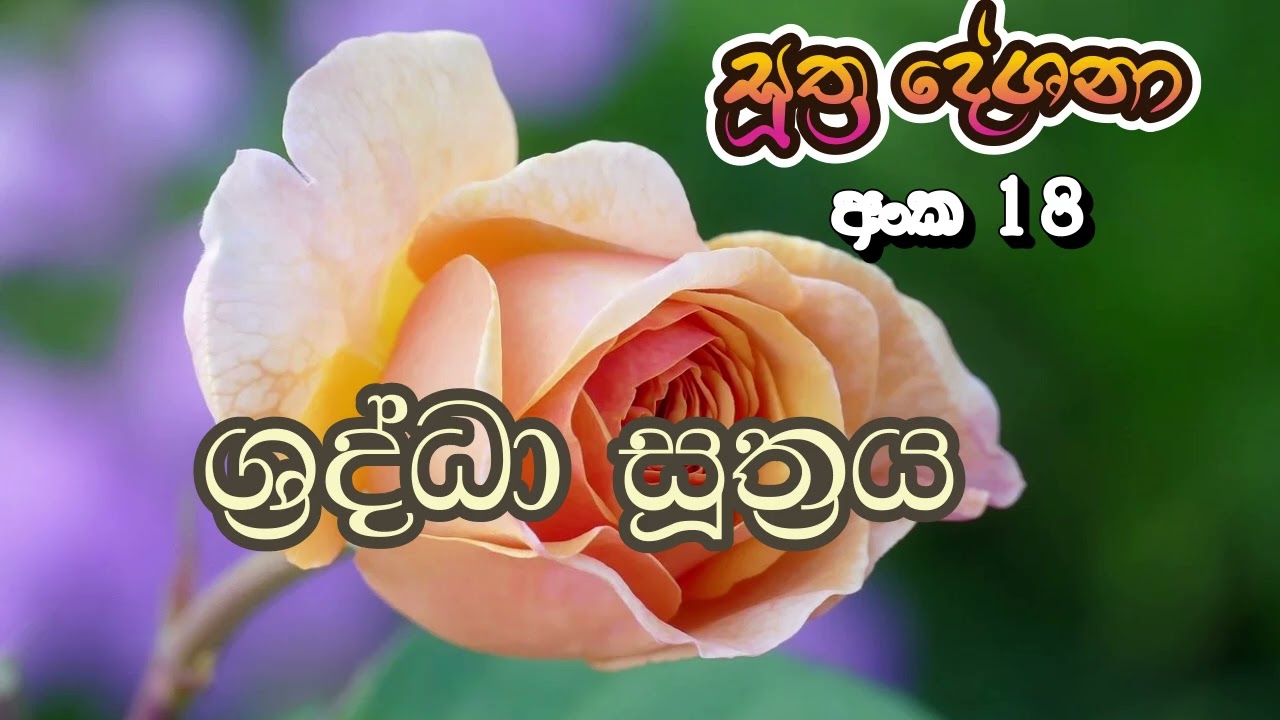 සද්ධා සූත්&zwj;රය | Saddha Sutta