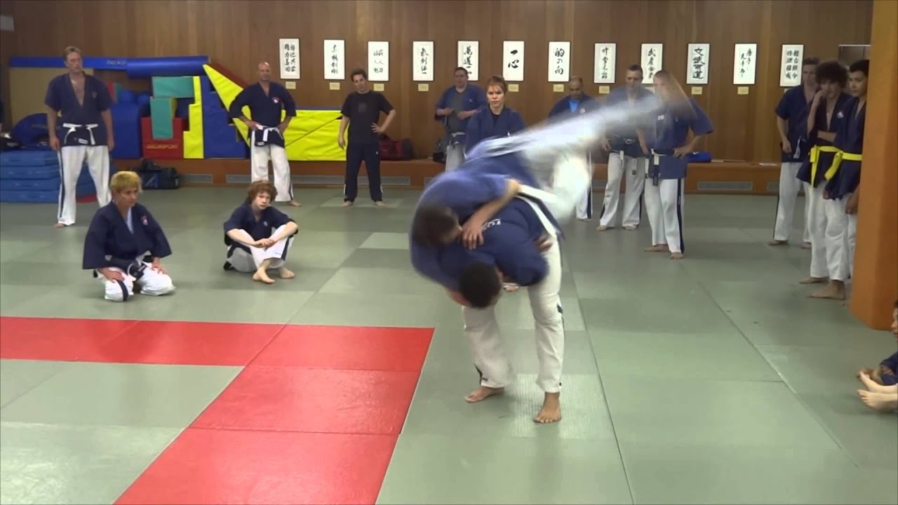 Stage de Yoseikan Budo avec Mitchi Mochizuki