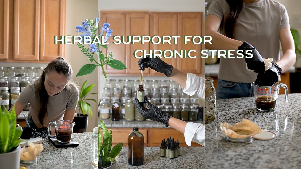 Herbal Support for Chronic Stress | Skullcap