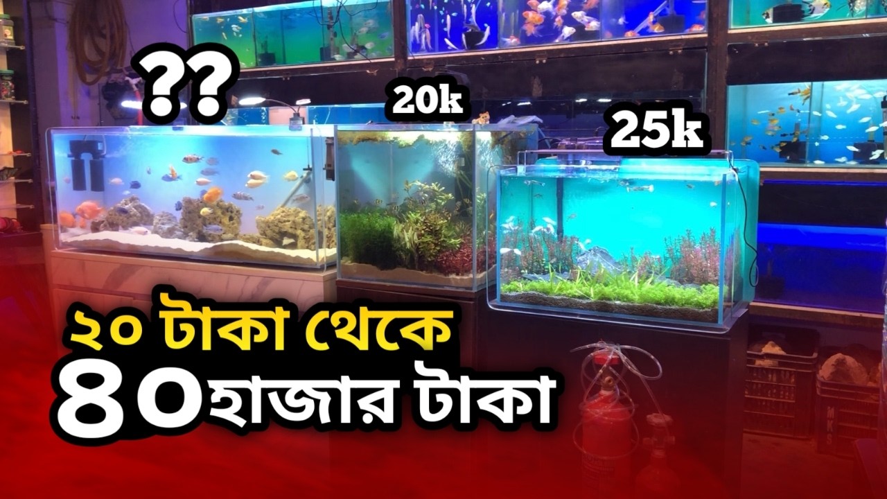 ২০ টাকা থেকে ৪০ হাজার টাকার জিনিসপত্র | Aquarium Setup Price in Bangladesh