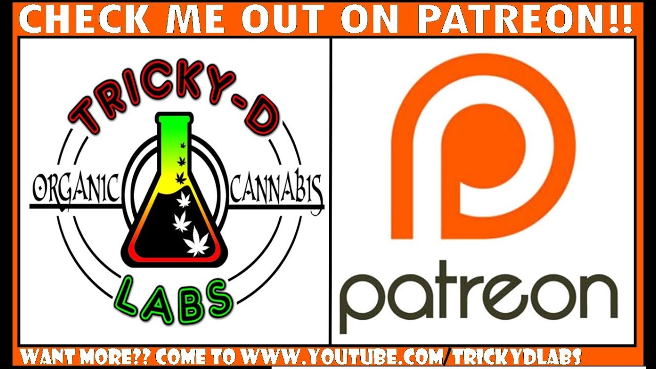 Tricky-D Labs is on Patreon!!