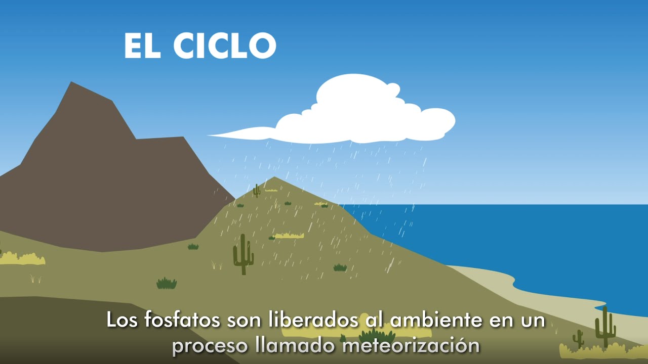 Ciclos biogeoquímicos del fósforo