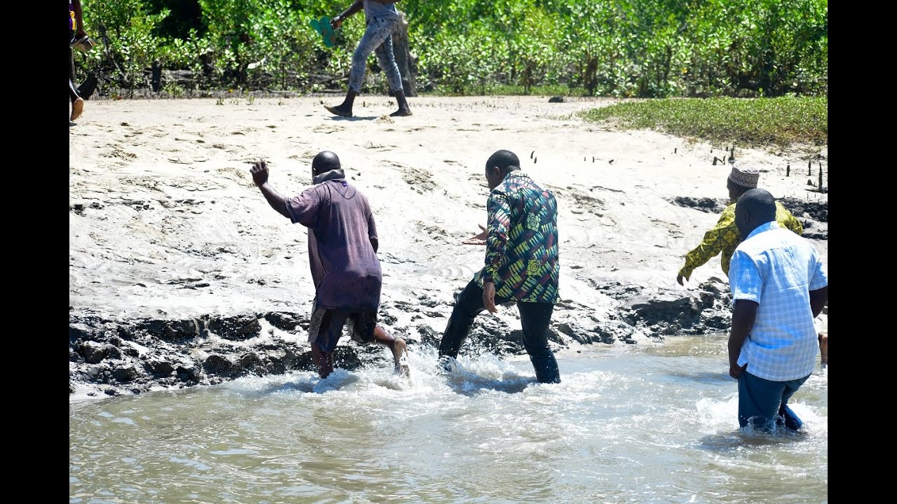#TBC: TAZAMA MBUNGE ULEGA ALIVYOPITA KWENYE MAJI AKIWA AKIKAGUA BANDARI YA KISIJU