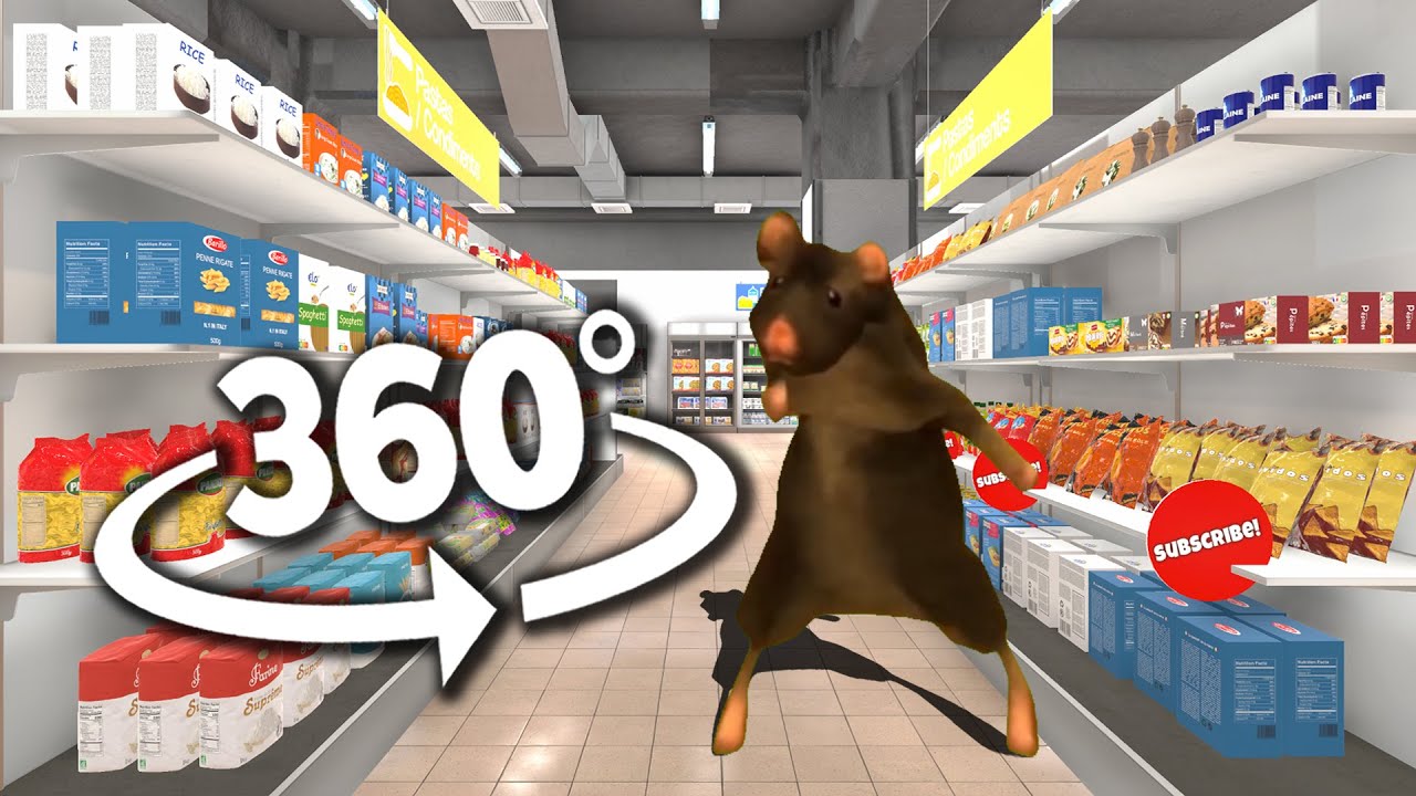 Viral Rat Dance 360&deg; - Supermarket | VR/360&deg; Experience