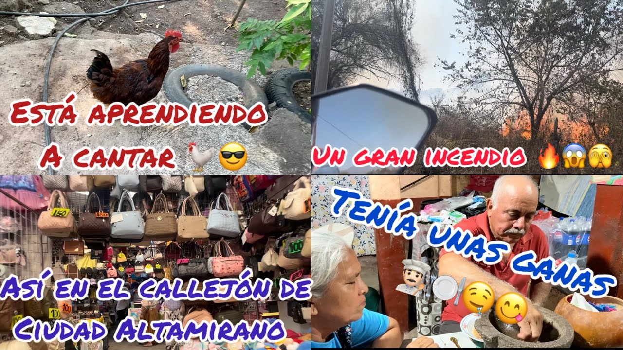Ya Empezó a Cantar 🎤🤣🚫Me Espanté🫣‼️Me Fui a Ciudad Altamirano😎 ‼️Se Empicozo 🥵🤣