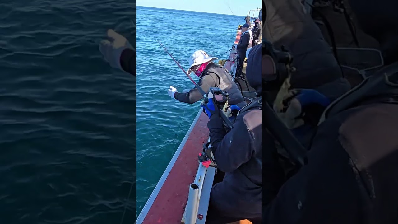 Sea fishing big fish oh my got My friend caught a big fish