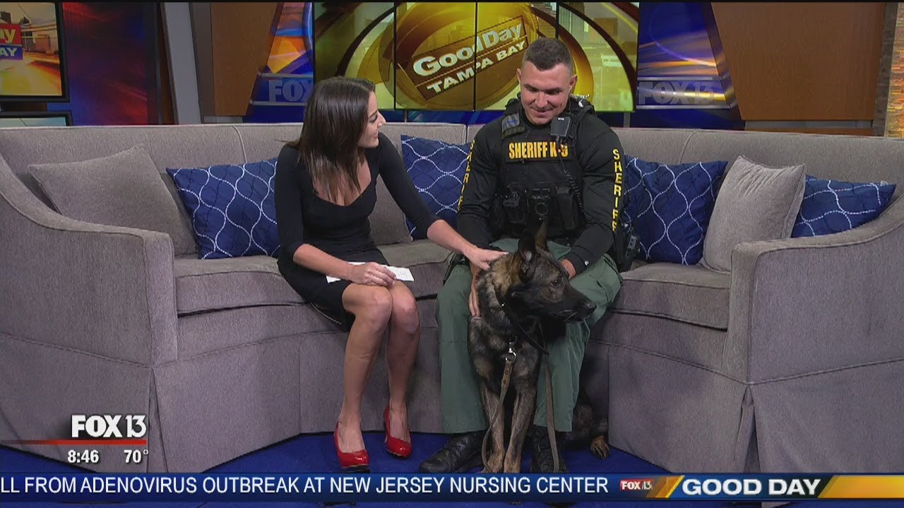 'Live PD' with Pasco K9 'Shep' (oh, and Deputy Carmack too)