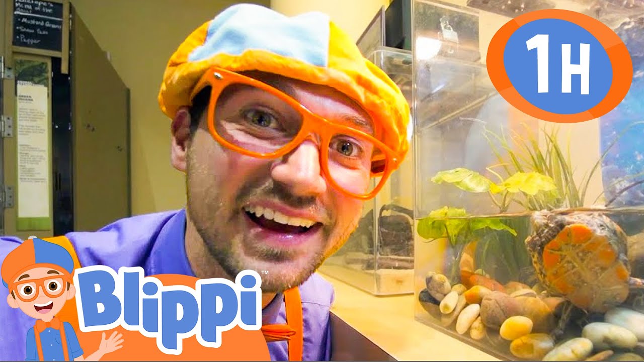 Blippi Visits Science Museums! | 1 HOUR BEST OF BLIPPI | Educational Videos for Kids | Blippi Toys