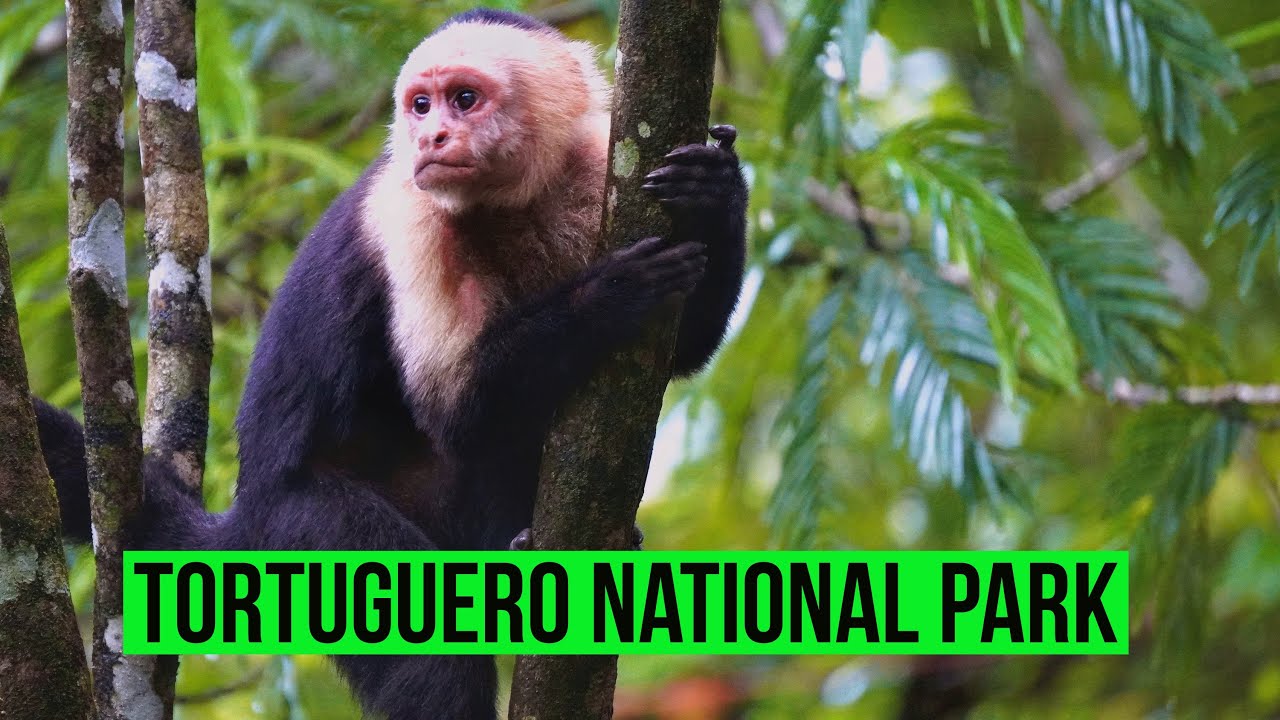 Tortuguero National Park Costa Rica with Collette Travel