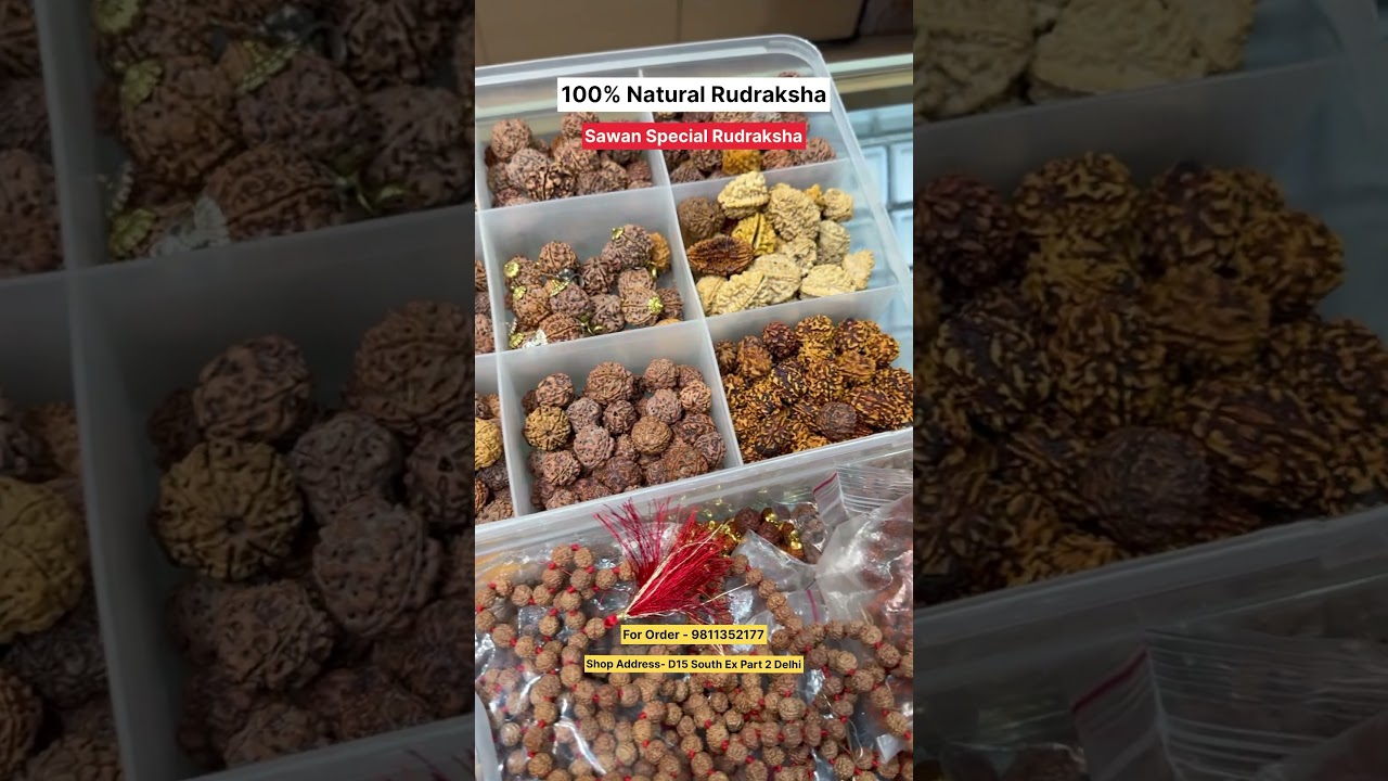 100% Original and Certified Rudraksha | Rudraksha Mala, Bracelet and Pendant #sawan #rudraksha