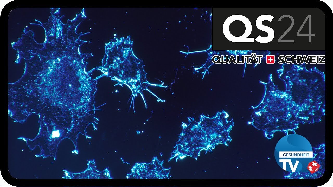 Diagnose: Krebs &ndash; was nun? | Gesundheit & Dr. med. Folker Meissner | QS24 28.06.2019