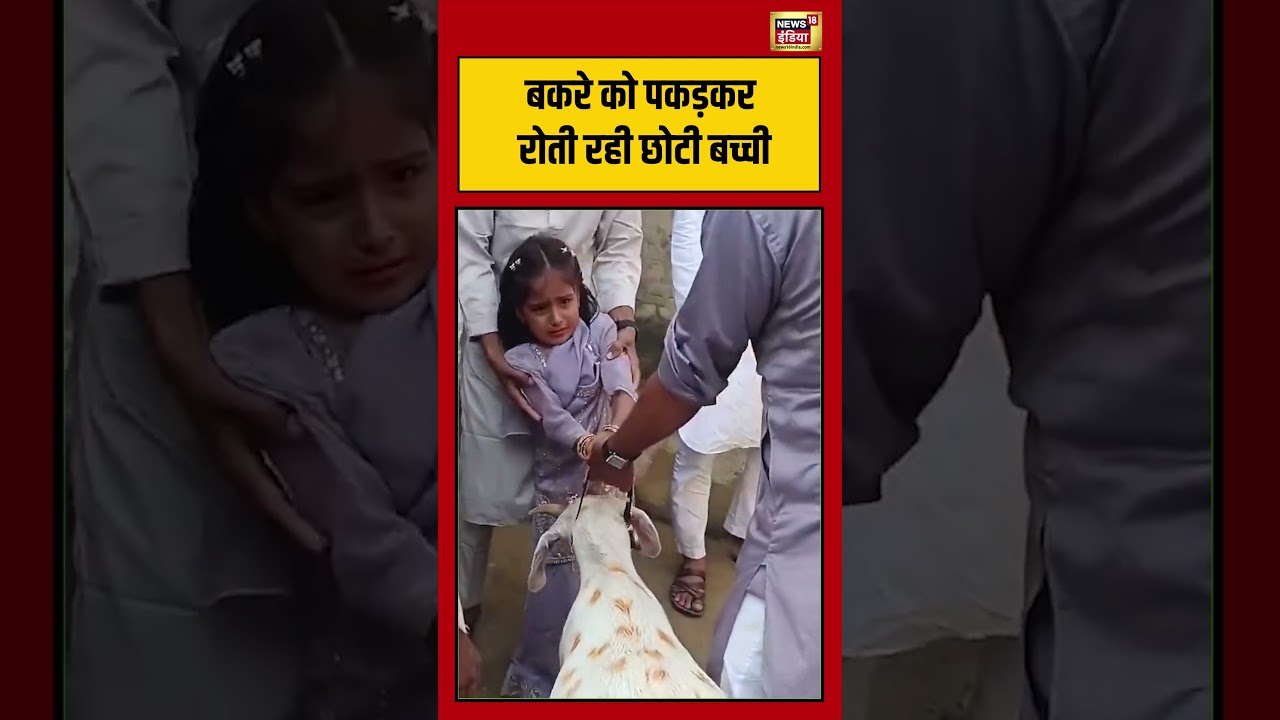Bakrid Viral Video | बकरे को पकड़कर रोती रही छोटी बच्ची #viralnews #viralvideo #shorts