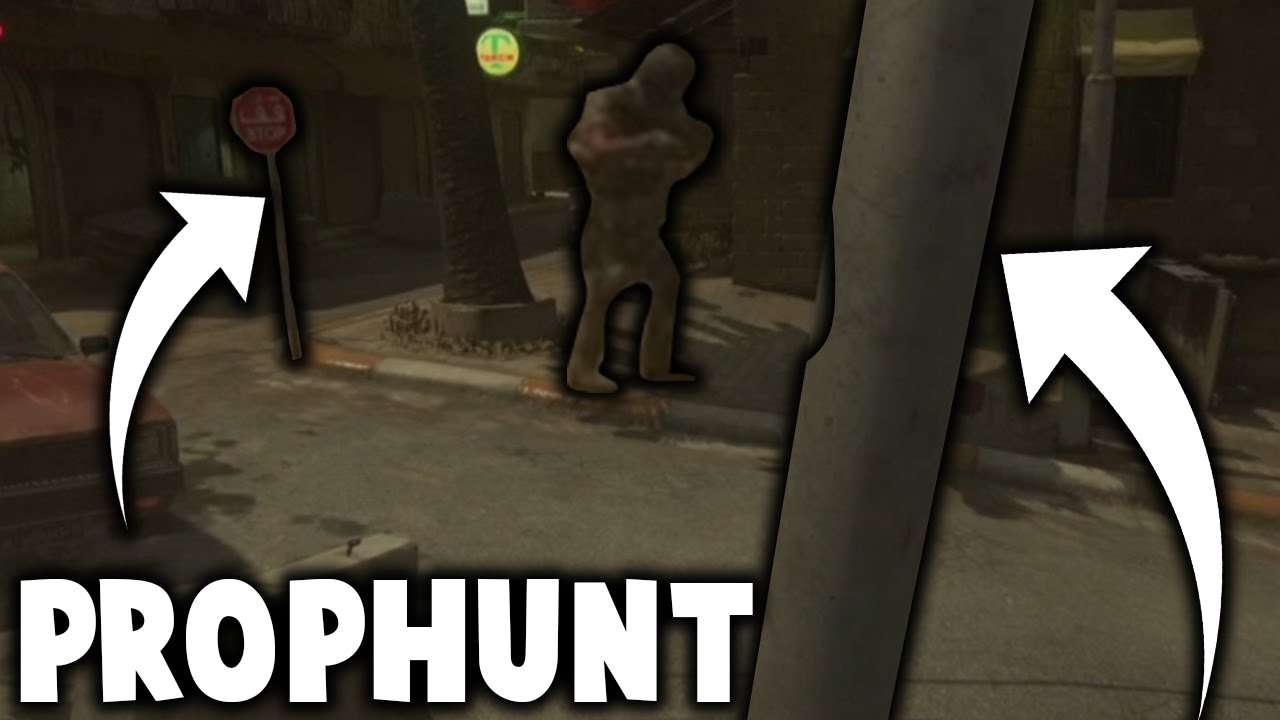 WIJ DE PROFESSIONALS!!! (PROPHUNT - Modern Warfare Remastered)