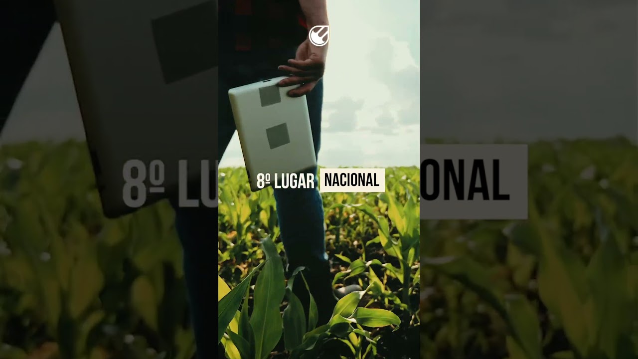 Potencial da agricultura em Campo Verde - MT 
