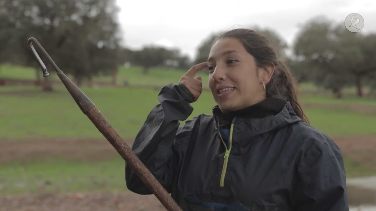 Chabeli, la joven extremeña que tiene todo un ejército con más de 2000 ovejas | El campo es vida